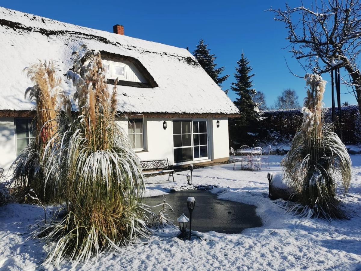 Reetferienhaus - Schaprode Hafen Buitenkant foto